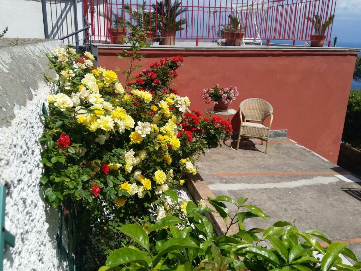 La Marocella Villa Capri Kültér fotó