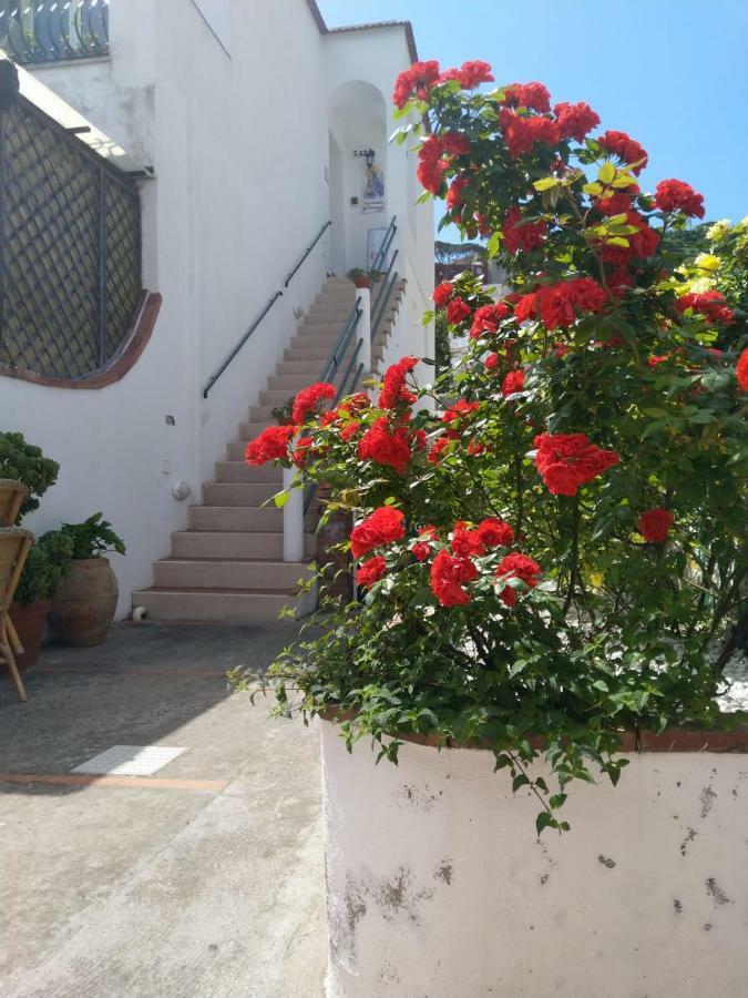 La Marocella Villa Capri Kültér fotó